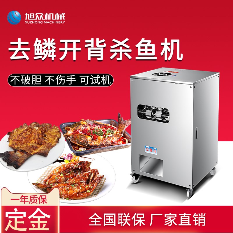 TM殺魚機(jī).jpg